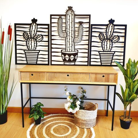 Cactus decorativos